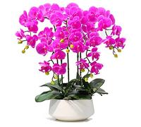 QSYJCCXD Phalaenopsis Artificiel avec Vase Simulation décorative en Pot en Pot de Fausses orchidées Plantes artificielles pour Le Salon Table Basse Armoire télévisée décoration de la Maison