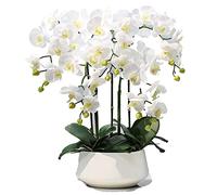 QSYJCCXD Phalaenopsis Artificiel avec Vase Simulation décorative en Pot en Pot de Fausses orchidées Plantes artificielles pour Le Salon Table Basse Armoire télévisée décoration de la Maison