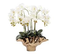 QSYJCCXD Phalaenopsis Artificiel dans des Fleurs en Pot en Vase en Vase, Plantes en résine décoration de Maison peintes à la Main.