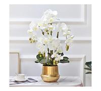 QSYJCCXD PHALAENOPSIS Orchid Floral DORAL en Vase, Silk FALUES ORCHIDES Fleurs artificielles pour Le Mariage en Plein air intérieur décoration de Bureau Festif Festif White/Rose/Jaune (Couleur: Rose,