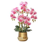 QSYJCCXD PHALAENOPSIS Orchid Floral DORAL en Vase, Silk FALUES ORCHIDES Fleurs artificielles pour Le Mariage en Plein air intérieur décoration de Bureau Festif Festif White/Rose/Jaune (Couleur: Rose,