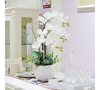 QSYJCCXD Silk Artificial Orchid Silk Blanc Rose Rose phalaenopsis Bouquet Fausses Fleurs avec Vase Décor de Bureau de Mariage en Plein air pour Table de Bureau de Table de Table (Couleur: Blanc)