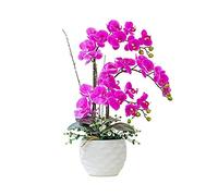 QSYJCCXD Silk Artificial Orchid Silk Blanc Rose Rose phalaenopsis Bouquet Fausses Fleurs avec Vase Décor de Bureau de Mariage en Plein air pour Table de Bureau de Table de Table (Couleur: Blanc)