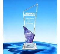 QSZ Trophée Personnalisable en Cristal Gravure Personnalisée Logo Nom Texte Photo Trophées en Verre Personnalisés pour Retraite Récompense Employé Sport (trophée personnalisé)