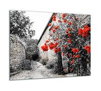 QTA Plaque de protection en verre pour cuisinière électrique à induction 60 x 52 cm