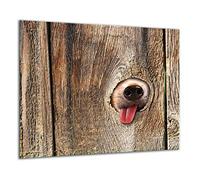 QTA | Plaque de protection universelle pour plaque de cuisson 60 x 52 cm Pour plaques de cuisson Protection contre les éclaboussures Planche a découper en verre trempé Décoration Bois Chien