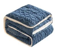 QTQHOME Couverture lestée d'hiver en flanelle polaire épaisse en velours pelucheux, literie lourde et chaude (220 x 240 cm/5 kg, bleu)