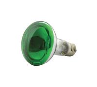 qtx Lampes réflecteurs colorées R80 | Vert