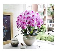 QTYQWC Fausse Fleur phalaenopsis dans Le Pot, 10 orchidées Papillon avec Un Pot en céramique élégant Unique, Un Bon bonsaï Artificiel pour la Maison/Le Bureau/Salon/Salle à Manger Table de décoration