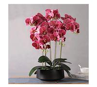 QTYQWC Orchidée artificielle Phalaenopsis en pot - Toucher réel - Bonsaï - Fausse fleur avec vase en céramique pour soirées intérieures - Salon - Table - Pièce maîtresse