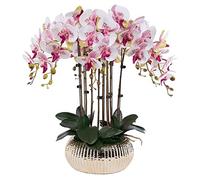 QTYQWC Phalaenopsis Artificiel avec Vase Artificiel Orchid bonsaï Faux Fausses Plantes de Salle à Manger Table centrales de Salon Arrangements de Salon décoration