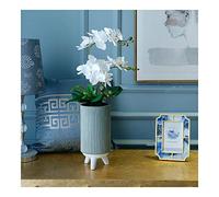 QTYQWC Vintage Faux Phalaenopsis Orchidées Centres de Table de Table Petales Real Touch Petales Artificiel Butterfly Orchidées avec Vase rétro pour la fête de Mariage/Chambre/Bureau pour la Table de