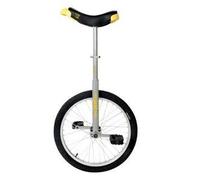 QU-AX Monocycle Luxus 20" Argent