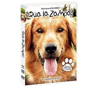Qua La Zampa Dvd Italian Import