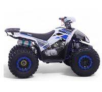 Quad 125CC Roan-Coyote automatique R8-D-N-R, bleu, charge maximale 120 kg (pour circuits fermés) + 10 ans