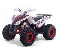 Quad 125CC Roan-Coyote automatique R8-D-N-R, rouge, charge maximale 120 kg (pour circuits fermés) + 10 ans