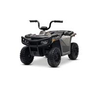 Quad électrique Enfant 12V sous Licence Arctic Cat, Transmission arrière, Grise, éclairage LED, Batterie Lithium, 2 Moteurs de 25W véhicule Electrique pour Enfants 3-5 Ans, MP3/AUX/éclairage LED
