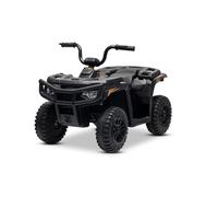 Quad électrique Enfant 12V sous Licence Arctic Cat, Transmission arrière, Noir, Batterie Lithium, 2 Moteurs de 25W véhicule Electrique pour Enfants 3-5 Ans, MP3/AUX/éclairage LED