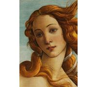 Quaderni d'Arte: Sandro Botticelli, Nascita di Venere, 1485-1486