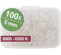 Quadrios Assortiment de LEDs blanc froid rond 5 mm 14000 mcd 35 ° 20 mA 3.0 V Box