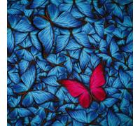 Quadro BUTTERFLY MAGENTA G2088 PINTDECOR