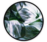 Quadro TRANSPARENCE DES FEUILLES GT6194 PINTDECOR