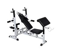 QUAHEAS Banc de musculation multifonction en acier avec dossier réglable à 7 niveaux, coussin de bras curl, support de haltères pour station de musculation, appareil de fitness, haltérophilie