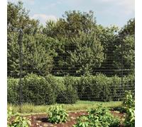 QUAHEAS Clôture grillagée avec bride de sol, anthracite, 2 x 10 m, en acier galvanisé, revêtement en PVC, élément de clôture robuste pour jardin, terrain, limitation et brise-vue en extérieur