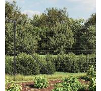 QUAHEAS Grillage métallique anthracite en acier galvanisé avec revêtement en PVC 2 x 25 m pour délimitation de terrain et enclos pour animaux, avec poteaux, support de fil, pinces, kit de clous en M