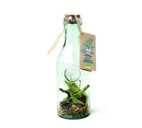 QUAI SUD-Mélange cacao-cannelle pour rhum arrangé « Fonce Alphonse » 45 gr