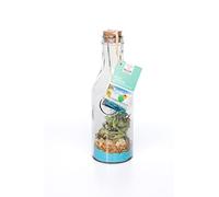 QUAI SUD Mélange Pour Cocktail | 140g | En Carafe - Blue Lagoon