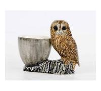 Quail Ceramics - Chouette hulotte avec coquetier
