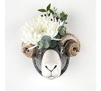 Quail Ceramics Swaledale Ram Vase mural