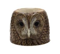 Quail Ceramics Tawny Owl Face Egg Cup by Quail Ceramics