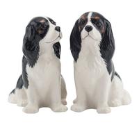Quail Ceramics - Tri-colour Cavalier King Charles Spaniel Salt And Pepper Pots by Quail