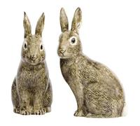 Quail Ceramics - Wild Rabbit Salt And Pepper Pots by Quail