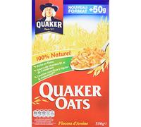 Quaker Classique Céréales à l'Avoine 550 g - Lot de 4