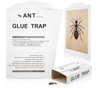 Qualirey Lot de 10 pièges à fourmis à l'intérieur, parfumés au beurre d'arachide, plus grands pièges à fourmis, araignées, cafards, mille-pattes et insectes rampants, pièges à insectes sans danger