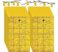 Qualirey Lot de 300 pièges adhésifs double face pour moucherons - 7,6 x 12,7 cm - Piège à mouches à fruits avec attache - Piège collant pour insectes volants, champignons et insectes volants - Pour