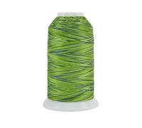 Qualité supérieure Threads 121029 X X988 Oasis 3 Couches 40 W King Tut Coton Quilting Filetage, 1 828,8 m