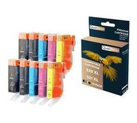 QUALITONER - 10 Cartouche compatible pour CANON PGI520 XL - CLI521 XL PGI 520XL - CLI 521XL Noir (x2) + Cyan (x2) + Magenta (x2) + Jaune (x2) + Photo Noir G