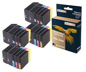 QUALITONER - 20 Cartouche Compatible pour Canon PGI2500 XL PGI 2500XL Noir (x8) + Cyan (x4) + Magenta (x4) + Jaune (x4) pour Canon Maxify MB 5000 Seri