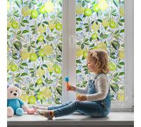 Qualsen Film Fenetre Anti Regard Effet Arc-en-Ciel 60 x 200cm, Film Electrostatique Vitre Motif Citronnier Anti UV Non Adhesif Brise Vue Fenetre Décoratif Films Vitrail pour Chambre Cuisine
