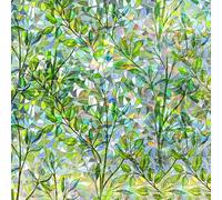 Qualsen Film Fenetre Anti Regard Effet Arc-en-Ciel 75 x 200cm, Film Electrostatique Vitre Motif de Feuille Verte Anti UV Non Adhesif Brise Vue Fenetre Décoratif Film Vitrail pour Chambre Cuisine