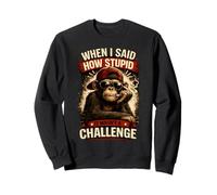 Quand J'Ai Dit à Quel Point tu Peux être Stupide en Disant ironique Sweatshirt