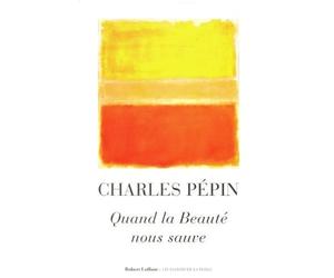 Quand la beauté nous sauve de Charles Pépin (2013) Broché