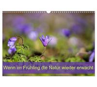 Quand la nature se réveille au printemps, Version française (Calendrier mural 2026 DIN A3 portrait), Calendrier CALVENDO mensuel