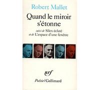 Quand le miroir s'étonne / Silex éclaté /L'Espace d'une fenêtre
