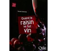 Quand le raisin se fait vin - Pascale Scheromm - Quae - broché - Guide
