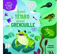 Quand le têtard devient une grenouille – Construis ta maquette ! – Piccolia